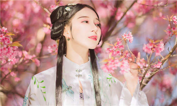 台安试管助孕什么意思｜试管助孕的步骤